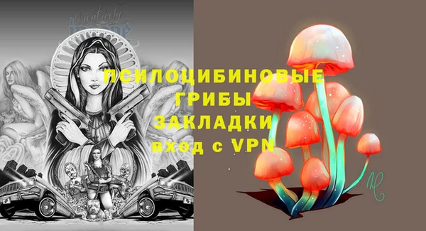 дмт Няндома