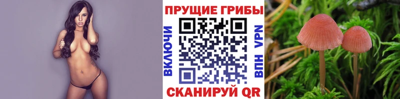 Псилоцибиновые грибы Magic Shrooms  наркотики  Почеп 